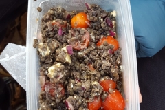 Montmorency_Salade-lentilles-tomates