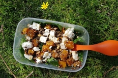 Notre-Dame-Salade-feta-lentilles-epinards