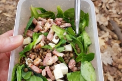 Senart-Salade-lentilles-lardons