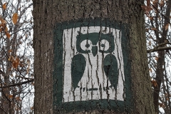 St_Cloud_Hibou