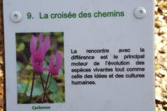 Montmorency_chemin_philosophe1