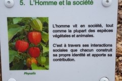 Montmorency_chemin_philosophe4