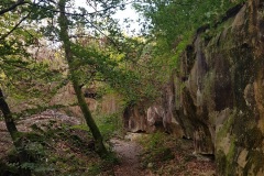 20191013-Fontainebleau-canyon2