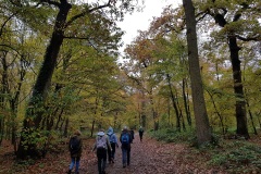 20191110-St-Germain-chemin-Faisant4