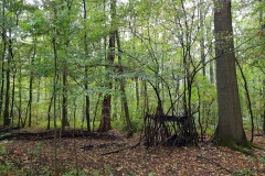 20200927-Meudon-cabane4